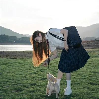 侠盗列那狐